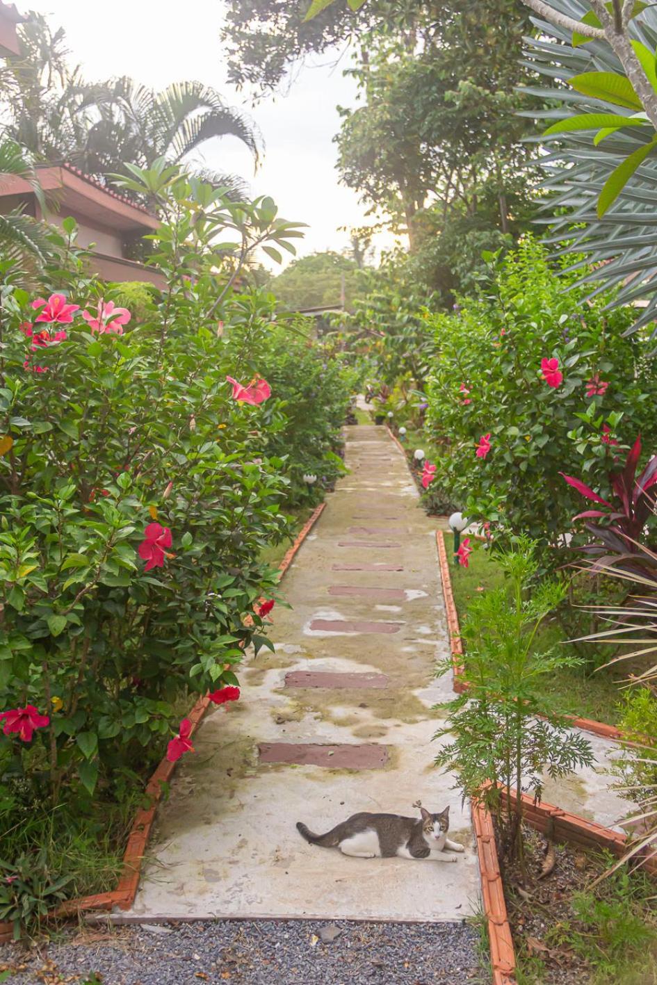 Hotel The Travelers Friend Ban Ai Dao Exterior foto